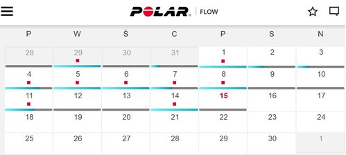 Polar Flow / fot. gsmmaniak.pl