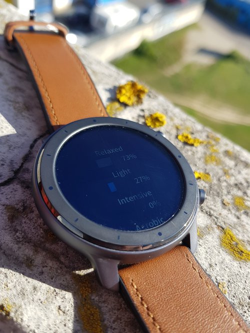 Amazfit GTR: skórzany pasek / fot. techManiaK