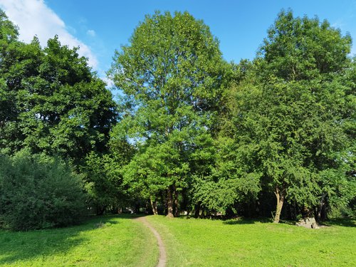 Oryginalne zdjęcie