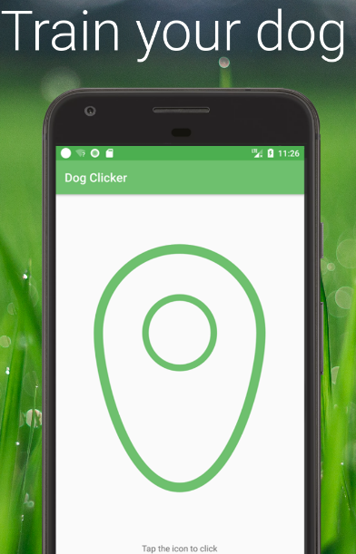aplikacje dla właścicieli psów