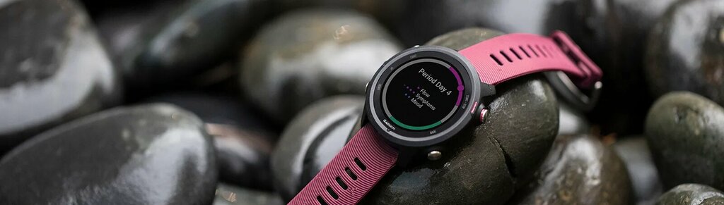 Garmin Forerunner 245