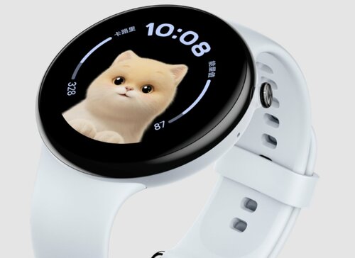 Honor Watch Fit Vitality Edition