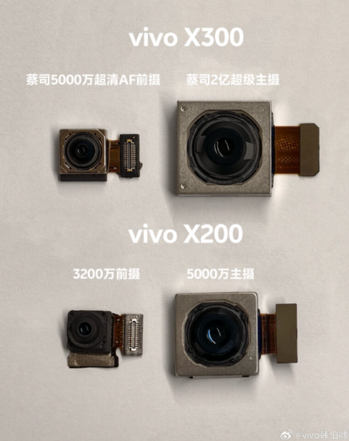 vivo X300