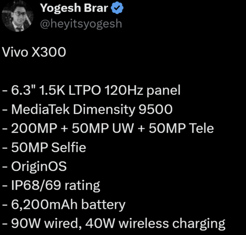 vivo X300