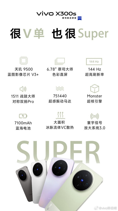 vivo X300s