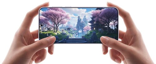 vivo X300s