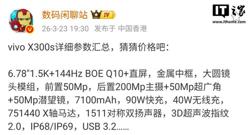 vivo X300s