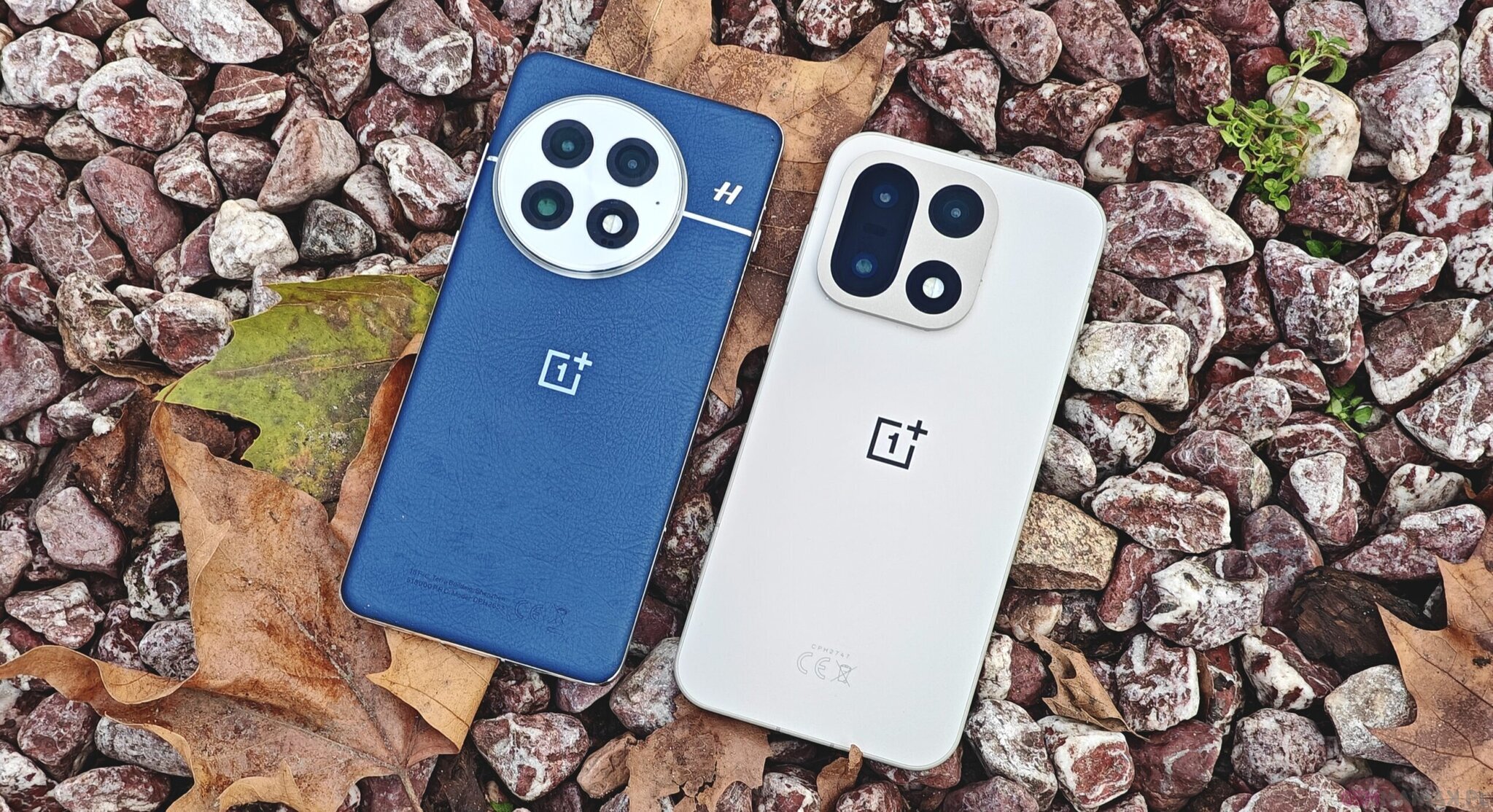 OnePlus 13 i OnePlus 15