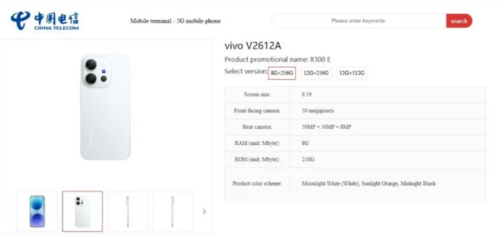 vivo X300e