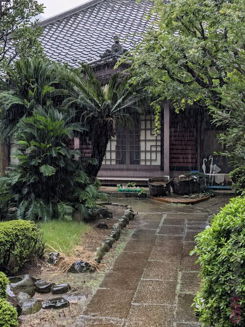 Test Yesim Japonia
