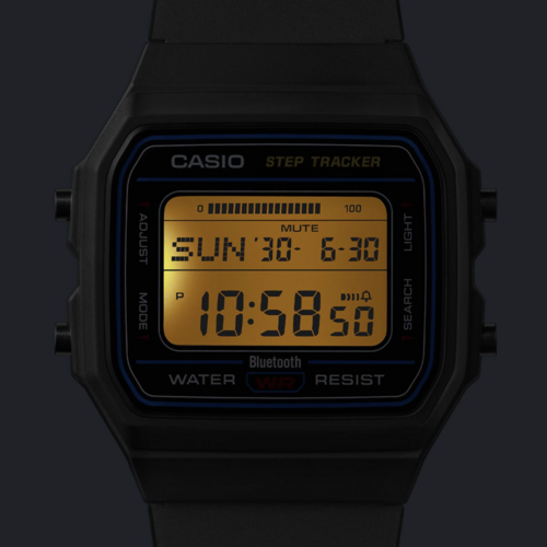 Casio FB100W