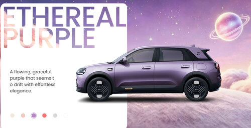 Chery Q