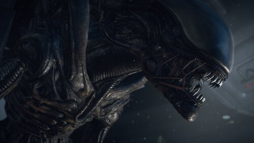 Alien: Isolation najtaniej na rynku