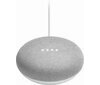 Google Home Mini