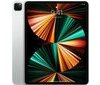 Apple iPad Pro M1 12.9