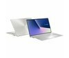 ASUS ZenBook 14 (UX433FN)