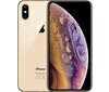 Apple iPhone Xs 256 GB