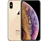 Apple iPhone XS
